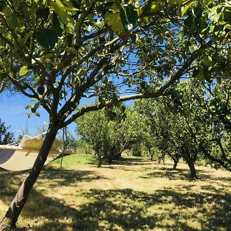 Pour Grand Groupe 18 Personnes A 15 Mins Du Puy Du Fou