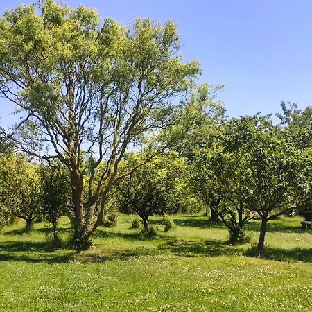 Pour Grand Groupe 18 Personnes A 15 Mins Du Puy Du Fou Dom wakacyjny *